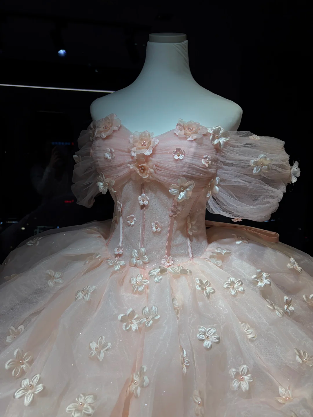 Light Pink Off Shoulder Tulle Ball Gown, Puff Sleeve Corset Dress with 3D Flowers NV7084