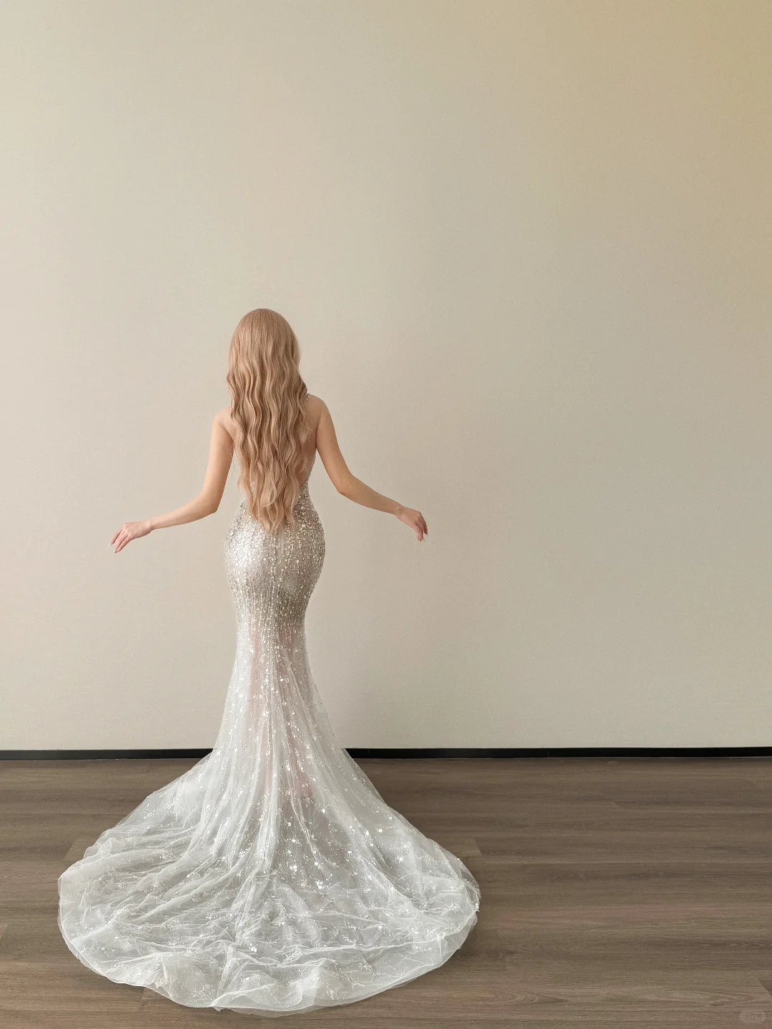 Halter Sweetheart Sheer Mermaid Wedding Dress Beaded Tassel Tulle Train NV7141
