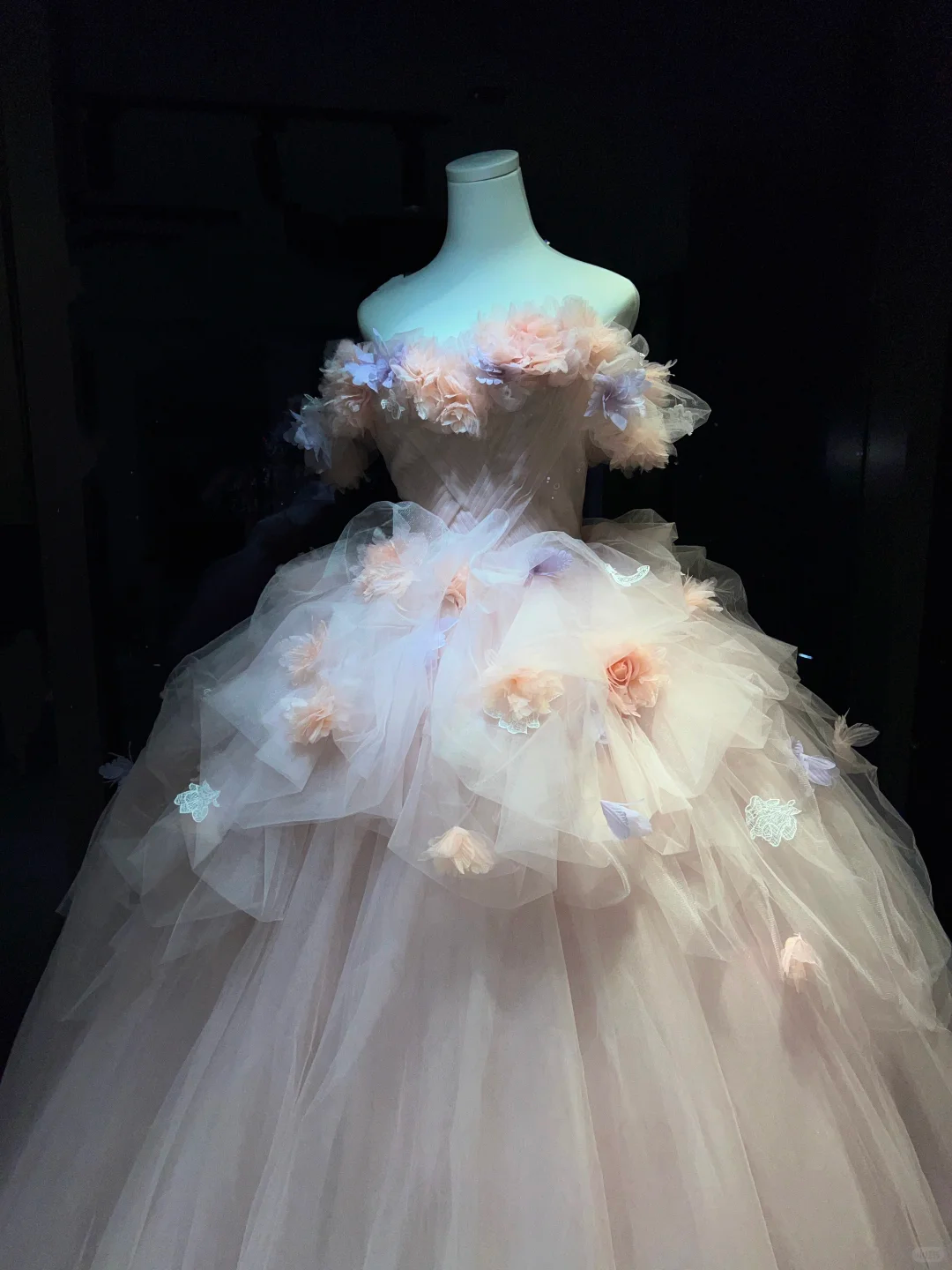 Blush 3D Floral Tulle Long Evening Gown Off The Shoulder Puffy Ball Gown Prom Dress  NV7064