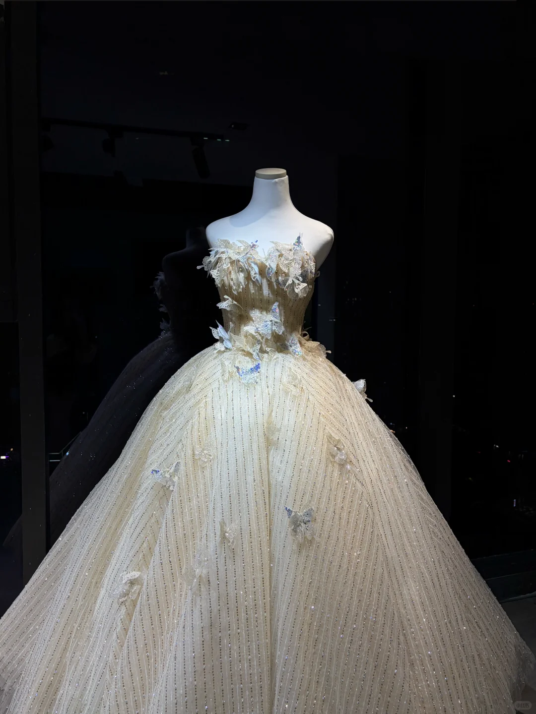 Champagne 3D Butterfly Rhinestone Tulle Princess Ball Gown  NV7091