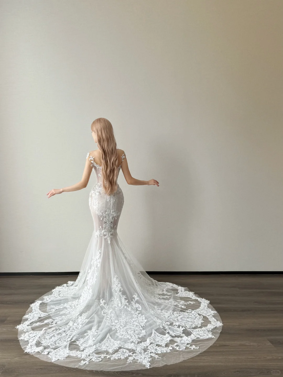 White Sweetheart Sheer Mermaid Wedding Dress Lace Applique Hooded Veil  NV7146