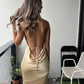 Sexy Sheath Straps Backless Champagne Prom Dresses Evening Dress nv1688