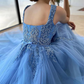 Exquisite 3D Flowers Beads Blue Long Prom Dresses Sweetheart Tulle Bow Sash Floor Length Evening Gowns  nv1641