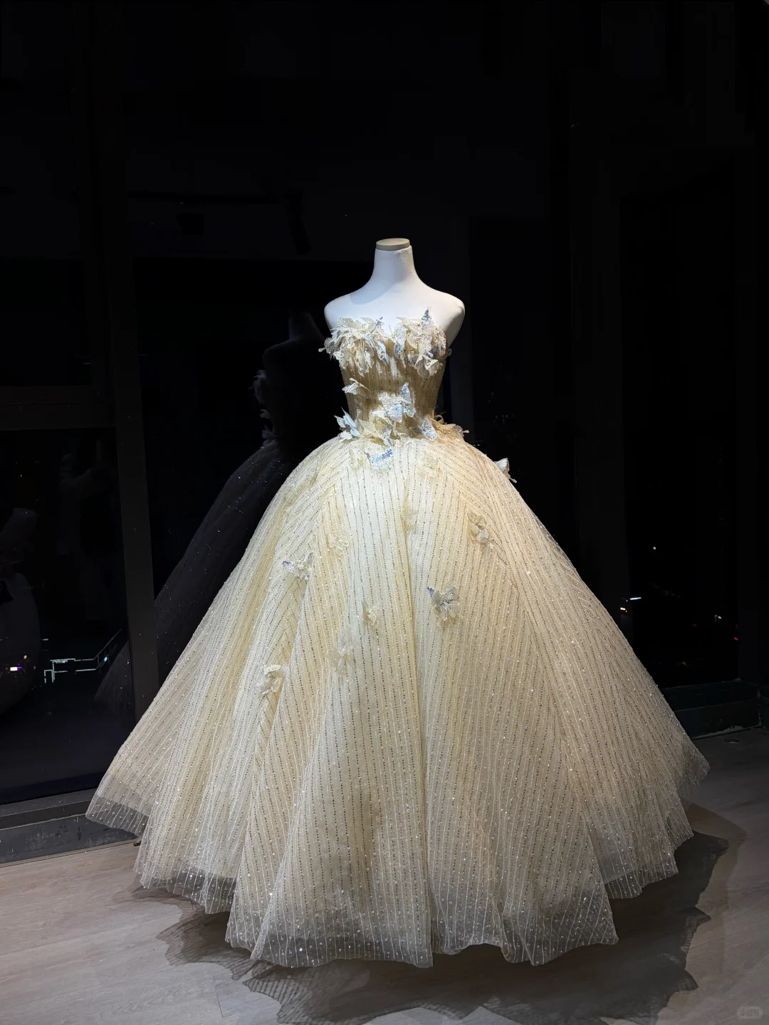 Champagne 3D Butterfly Rhinestone Tulle Princess Ball Gown  NV7091