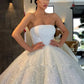 Glitter Strapless Ball Gown Wedding Dresses Sparkly Bridal Gown nv387