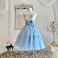Blue sweet and cute Tutu dress with a purple flower around the waist, A-line skirt, mid-length/short prom dress, evening dress, adult ceremony dress, birthday dress, prom dress nv4097
