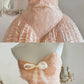 Peach orange tube top elegant exquisite lace princess dress medium length/short prom dress evening dress adult dress birthday dress prom dress nv4096