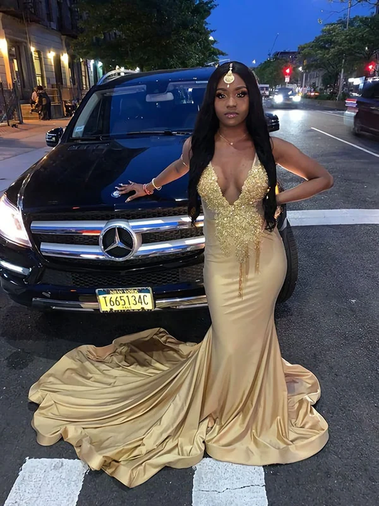 Fashion Party Dress, Sexy Prom Dress nv843