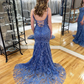 Charming Mermaid Dark Blue Long Prom Dresses with Appliques nv827