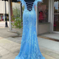 Light Blue Appliques Long Prom Dress with Detachable Feathered Shoulder nv469
