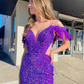 Charming Mermaid Purple Sequins Long Prom Dresses with Feather nv466